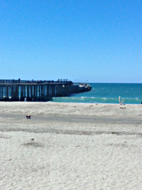 Seacliff Beach